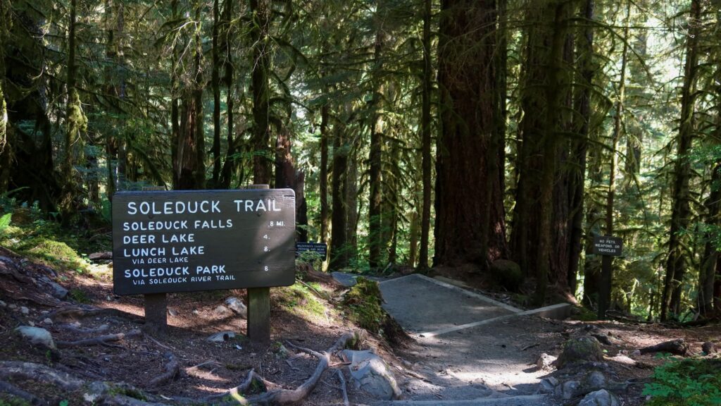 sol duc falls trail head