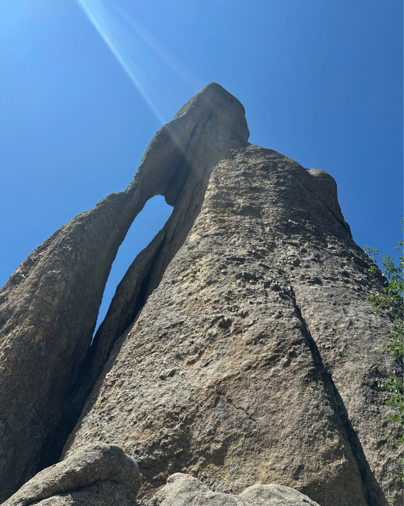 needles eye on needles highway custer state park