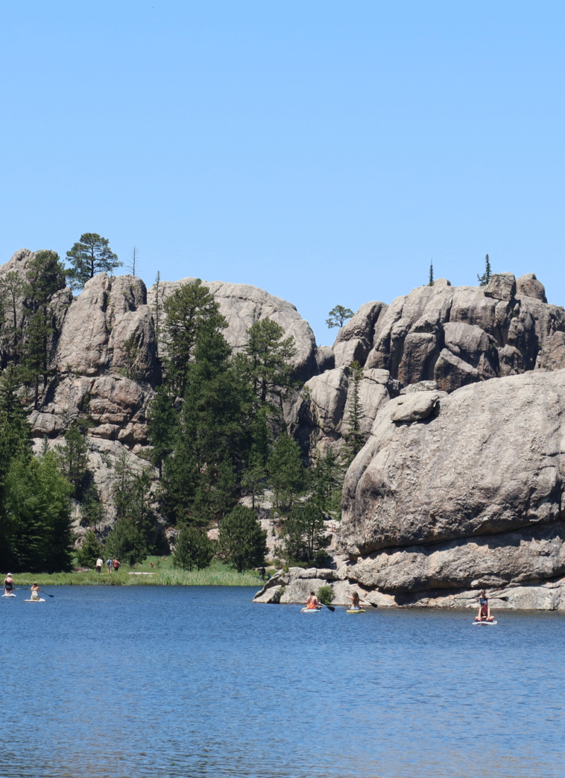 Custer State Park: Hidden Gem of the Black Hills