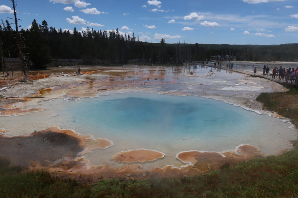 silex spring Yellowstone National Park