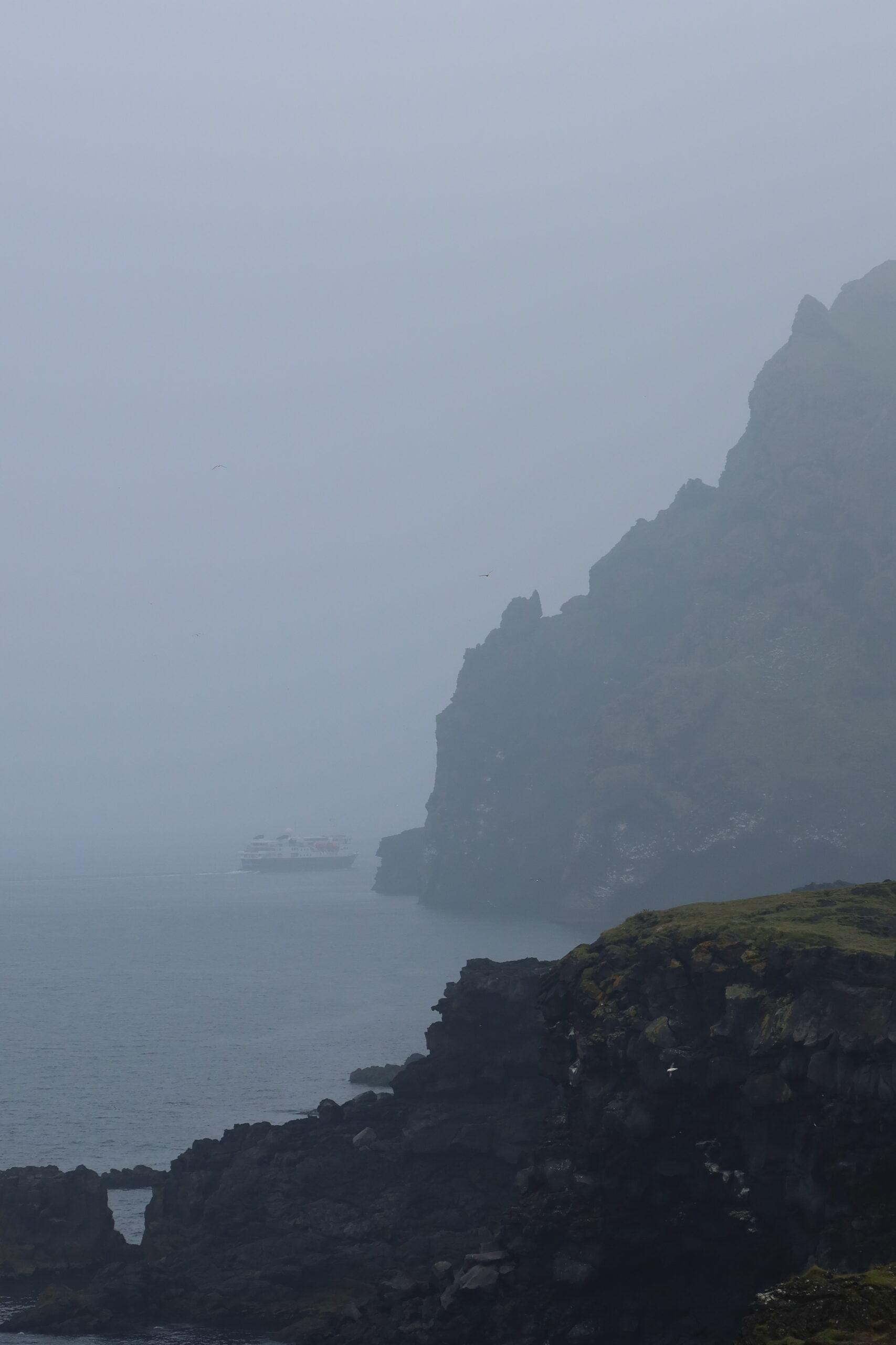 Ultimate Iceland Puffin Guide Everything You Need to Know to see the